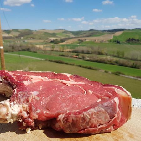 Agriturismo Montepinci Montalcino Eksteriør bilde
